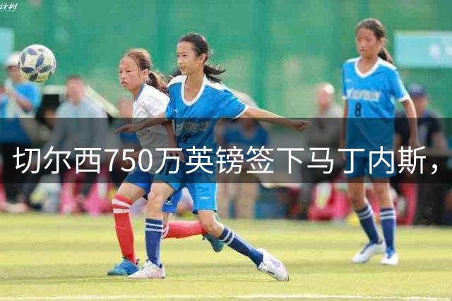 切尔西750万英镑签下马丁内斯，夏窗第四笔交易达成